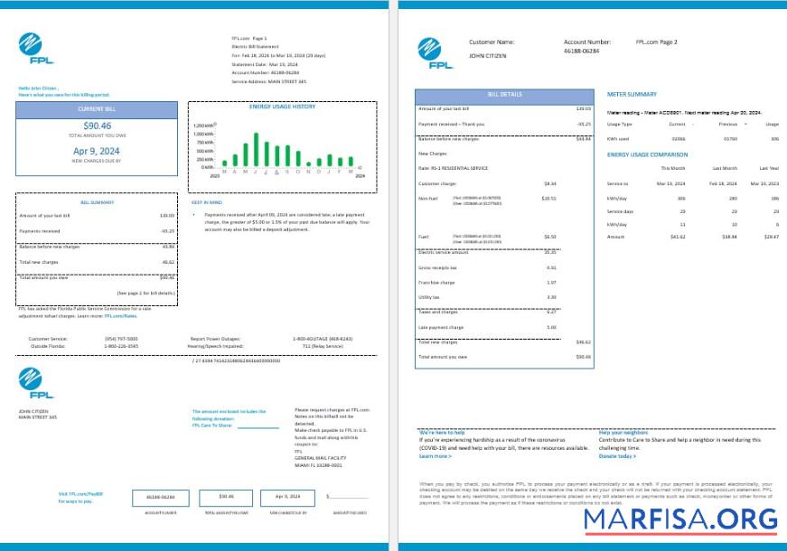 Printable USA FPL electricity utility bil Word and PDF formats, 2 pages, version 2 download for verification
